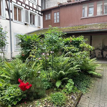 My Apartmán